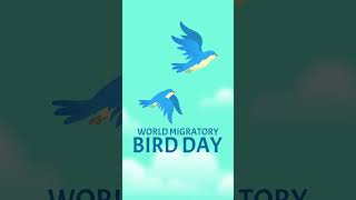 Migratory Birds  Nature  World Migratory Bird Day birds [upl. by Nielsen948]