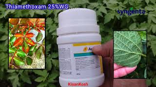 ACTARA  Thiamethoxam 25wg  Syngenta [upl. by Thorwald]