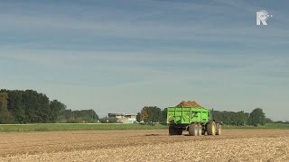 Drukke oogsttijd voor aardappelboeren [upl. by Bounds]