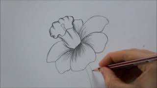 How To Draw a Flower step by step In 6 Minutes [upl. by Felice466]