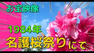 1984年（昭和59年）「名護さくら祭りインタビュー」 [upl. by Suzann]