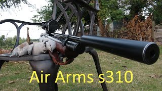 Air Arms s310 vs Collared Doves [upl. by Mateo]