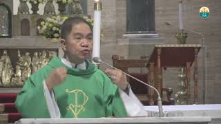 Cathedral Homilies  November 19 Msgr Rolly [upl. by Borek]