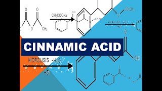 CINNAMIC ACID ncchem [upl. by Irafat]