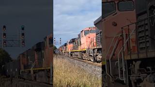 4 units including a C449WL on CN A422 at Georgetown Oct 92024 canadiannational cntrain [upl. by Brawley]