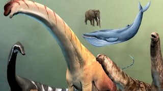 Paleontology News How Sauropods Grew So Big [upl. by Hana]