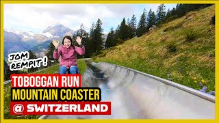 🇨🇭 TOBOGGAN  Mountain Coaster at Switzerland Rodelbahn Oeschinensee [upl. by Atilek503]