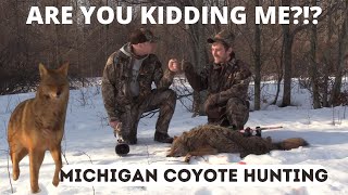 Michigan Coyote Hunting  AWESOME Up Close Footage  PREDATOR CONTROL [upl. by Hcab418]