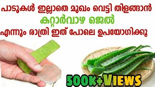 മുഖം വെളുക്കാൻ ഇനി കാശുമുടക്കേണ്ട വെറും കറ്റാർവാഴ മാത്രം മതി  Homemade Aloe Vera Gel  Rasfis Kitc [upl. by Aerdua]