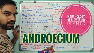 Androecium  Morphology of Flowering Plants [upl. by Jarv]