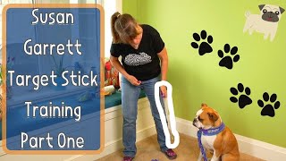 Susan Garretts Target Stick Training for Dogs Part One  All About Targeting [upl. by Ause77]