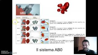 codominanza [upl. by Anertal]