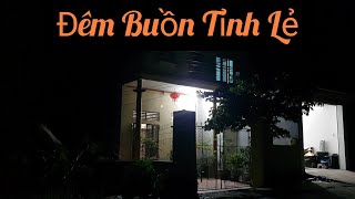 Đêm Buồn Tỉnh Lẻ  Diễm Trang [upl. by Nyrhtakyram]