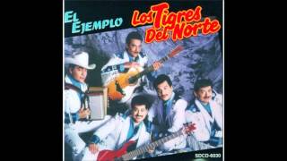 Los Tigres del Norte  El Tamal [upl. by Anidem]