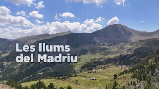 Les llums del Madriu [upl. by Ellette149]