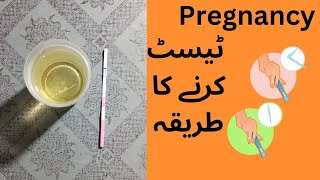 Pregnancy test  Pregnancy Test kaise karte hain  how to check pregnancy test at home [upl. by Flosi848]