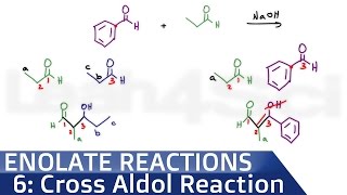 Mixed Crossed Aldol Reaction Trick and Limiting Products [upl. by Aniv567]