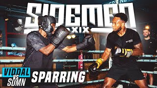 VIDDAL RILEY VS THE SIDEMEN FULL SPARRING [upl. by Kappel]