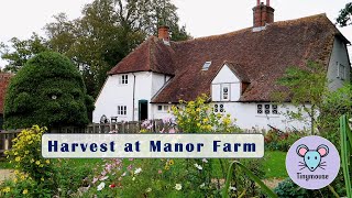 Harvest at Manor Farm step back in time to rural life in England and meet the farmyard animals [upl. by Noell]