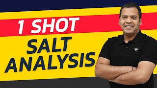 Salt Analysis  OneShot  Inorganic Chemistry  PMS sir [upl. by Eetnahc]