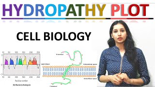 1 Hydropathy Plot  Molecular Pharmacology [upl. by Bucky719]