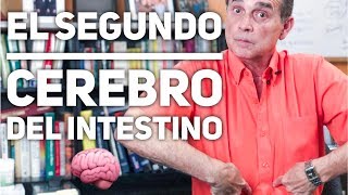 Episodio 1485 El Segundo Cerebro Del Intestino [upl. by Ellehcin396]