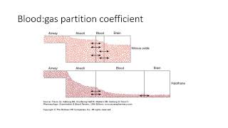 Pharmacokinetics series 8  inhalational anaesthetic kinetics [upl. by Eytak]