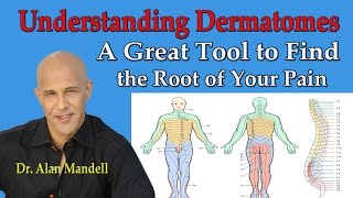 Understanding Dermatomes  A Great Tool to Find the Root of Your Pain  Dr Mandell [upl. by Tnaryb103]