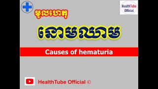 មូលហេតុ នោមឈាម l Causes of hematuria l វិបត្តិនោម ll HealthTube Official [upl. by Tnilk]