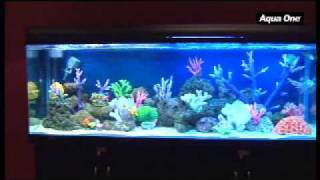 AQUA ONE AQUARIUMS  AQUAGRAND 120 150 and 180 [upl. by Yseulta]