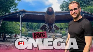 24h au Parc Omega 🇨🇦 Le parcours en voiture part 1 [upl. by Anytsyrk497]