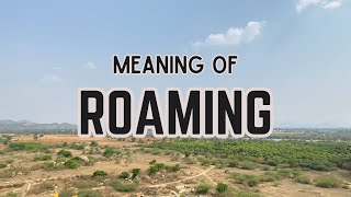 What is the meaning of Roaming [upl. by Van]