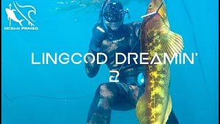 Lingcod Dreamin 2 [upl. by Nagaet]