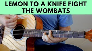 Lemon To A Knife Fight  The Wombats Acoustic Guitar Cover [upl. by Xymenes]