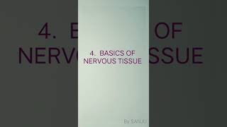 Basics of Neuroanatomy  anatomy mbbs neuroanatomy mbbsstudent mbbsstudy [upl. by Adnorat]