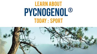 Pycnogenol® for Sport  Animated Infographic [upl. by Medorra]