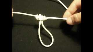 How to Tie a Dropper Loop [upl. by Ume699]