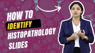 How to Identify Histopathology Slides  Pathology Hacks for MBBS NEET PG [upl. by Gifford120]