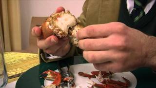 Aprender a comer marisco la nécora gallega Eating seafood crab [upl. by Row]