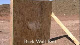 Ruger GP100 357 Magnum vs Back Indoor Wall [upl. by Aretta]