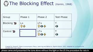 The Blocking Effect [upl. by Algernon]