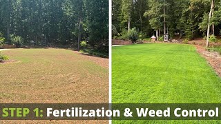 Fertilizer for New Grass Seed  Zenith Zoysia Fertilizer and Weed Control [upl. by Anatole]