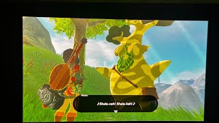 Legend of Zelda Breath of the Wild Steam Deck OLED 60FPS Moonlight Streaming [upl. by Ahseral58]