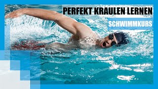 Schwimmkurs Perfekt Kraulen lernen  FIT FOR FUN [upl. by Naened805]