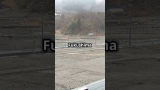 The Surprising Truth About Fukushimas Radioactive Zone [upl. by Hannibal]