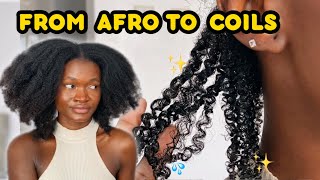 I SHOULD HAVE TRIED THIS SOONER  coil definition on my 4b hair  trying new coiling technique [upl. by Munroe]