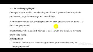 L58 MICRO Clostridium perfringens [upl. by Tirb]