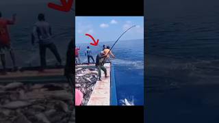 Pole and line fishing video youtubeshorts fishing shortvideo shorts short shortsfeed fish 🎣🌊🐋 [upl. by Mcdonald]