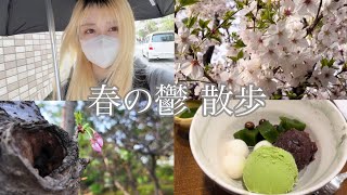 限界鬱☆桜大好きセロトニン散歩・購入品開封の儀【vlog】 [upl. by Tonia]