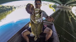 SUMMER BASS FISHING TOURNAMENT ft1Rod1ReelFishing LAKE OCTORARO PA [upl. by Alaric]